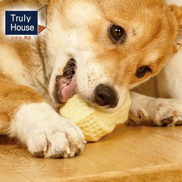 Truly House 寵物發聲磨牙玩具  毛孩 狗 貓