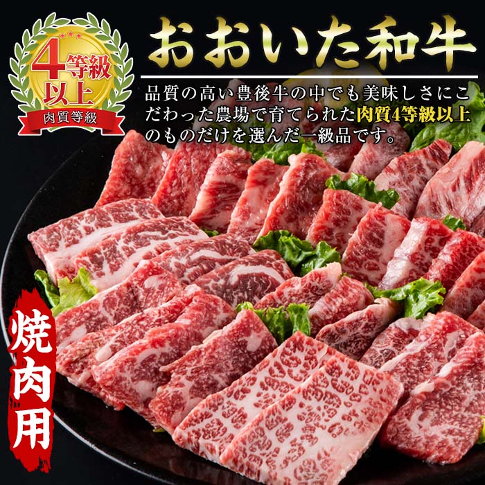 おおいた 和牛 3種 セット (合計1.66kg・サーロインステーキ180g×2枚・ウデ肉700g・焼肉300g×2P) 国産 豊後牛 BBQ 赤身 バーベキュー 惣菜 やきにく おかず 百年の恵み 