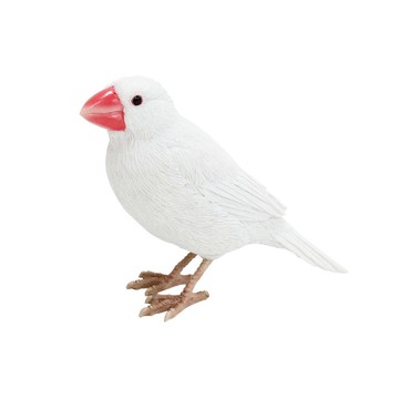 日本Magnets療癒系列白文鳥迴紋針吸鐵/桌上擺飾/文具收納