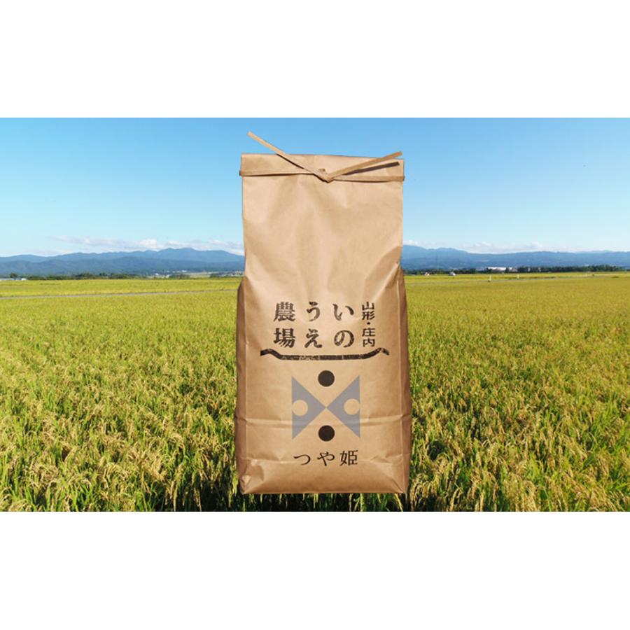 井上農場の特別栽培米 山形県産 つや姫 ５ｋｇ 送料無料 お取り寄せ お米 精米 ごはん 白米 産地直送