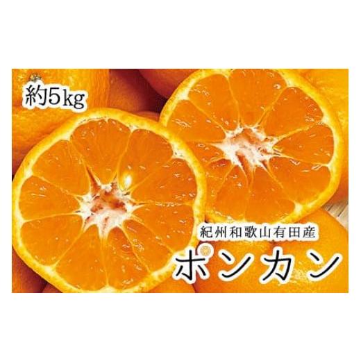 ふるさと納税 和歌山県 太地町 紀州和歌山有田産ポンカン　5kg ※2024年2月上旬頃〜2024年2月中旬頃に順次発送（お届け日指定不可）