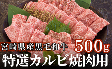 宮崎県産 黒毛和牛 特選 カルビ 焼肉 500g 牛肉 炒め 牛肉 焼肉 BBQ バーベキュー キャンプ 牛肉 焼肉 カルビ 焼肉 牛肉 普段使い 牛肉 調理 おかず 焼肉 料理 国産 牛肉 パック 厳選 牛肉 カルビ焼肉丼 クッパ 牛肉 焼肉丼 スープ 牛肉 チャーハン 牛肉 焼肉 生春巻き 牛肉 カルビ 焼肉 牛肉 マリネ 牛肉 照り焼き 牛肉 甘辛炒め チンジャオロース 牛肉 青椒肉絲