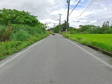 楊梅新富車站方正美農地｜桃園市楊梅區富岡段
