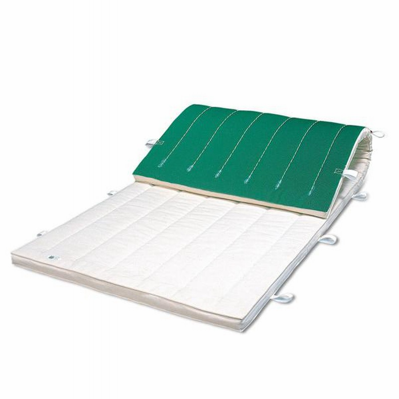【中古】 マット遊び・マット運動指導のコツ 高田典衛 81FHKyZzuBL._UF350,350_QL50_.jpg