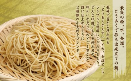 みなまた ちゃんぽん 3～4人前 生麺 野菜つき 具材セット 調理 水俣