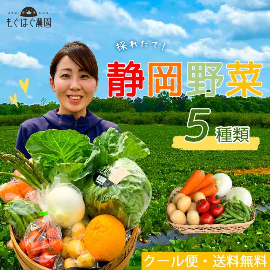 お試し 採れたて！ 静岡 野菜セット 5品目 農家直送 産地直送 新鮮 食材 旬野菜 詰め合わせ お取り寄せ