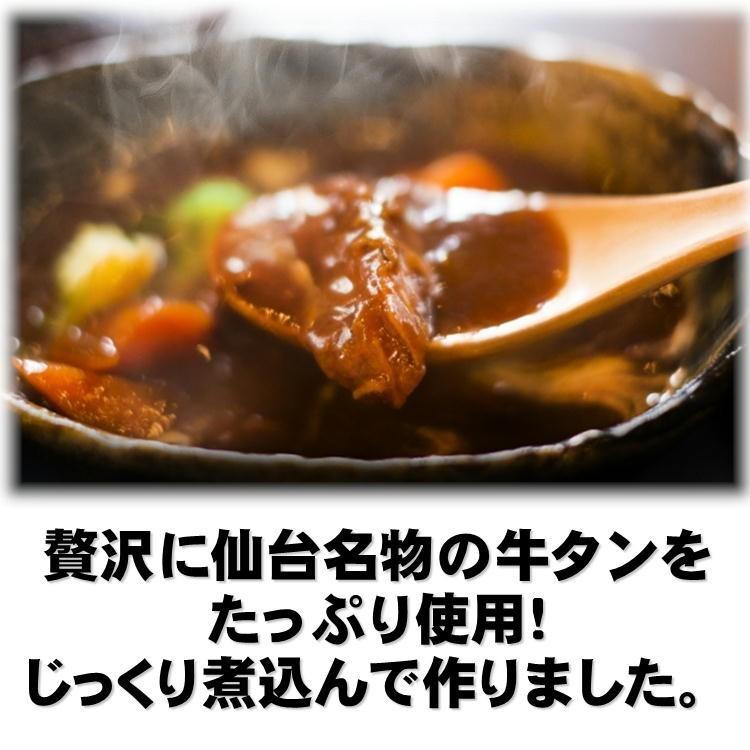 牛タン シチュー 2パック セット 送料無料 仙台 牛たん 名物 自宅 レトルト 家庭 簡単調理 常温 メール便