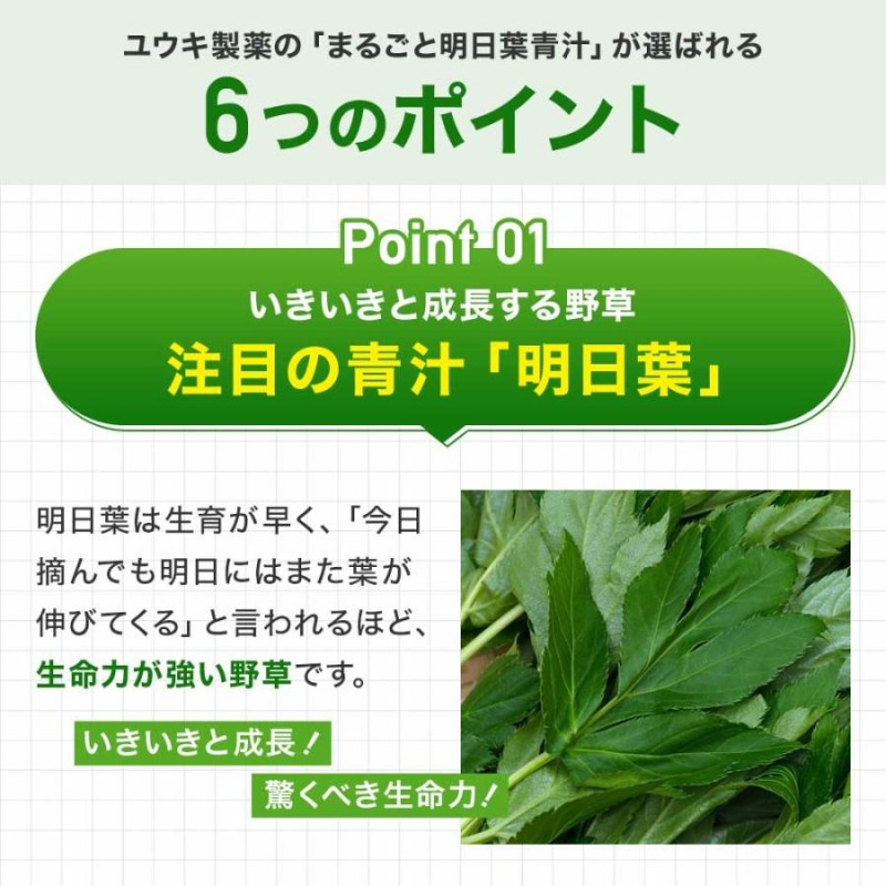 まるごと明日葉青汁 3g×30包×6個セット 約90～180日分 送料無料 宅配便