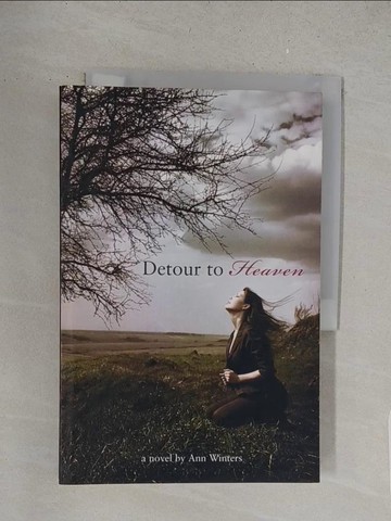 【書寶二手書T1／原文小說_S51】Detour to Heaven_Winters, Ann