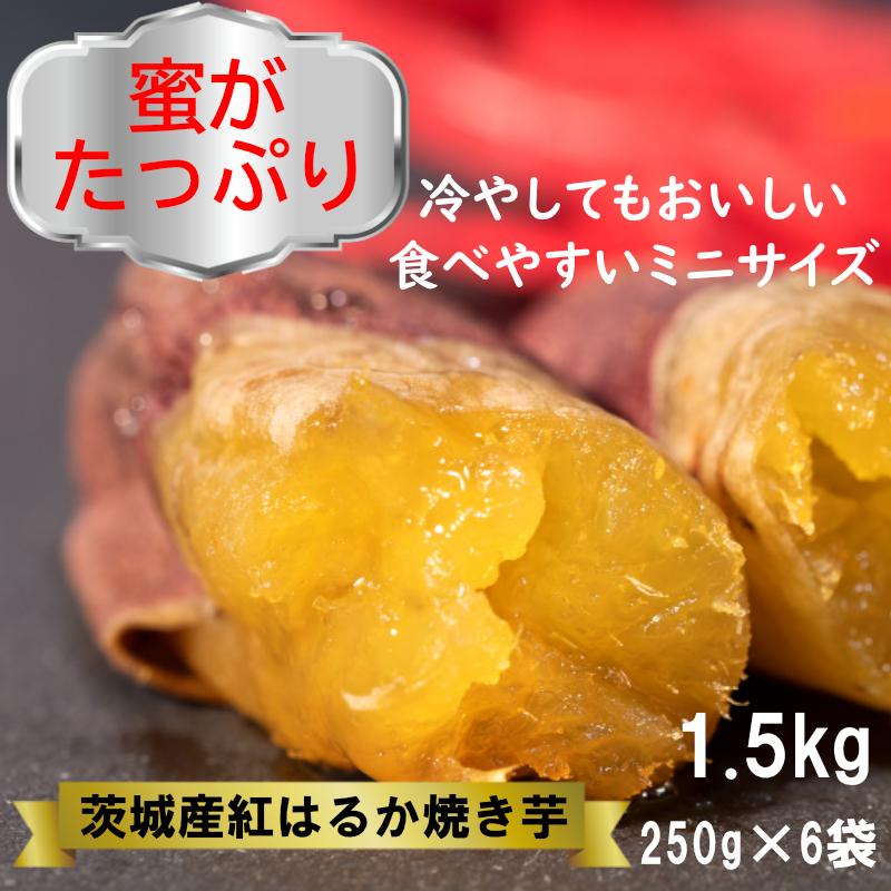 焼き芋 1.5kg 紅はるか ミニサイズ 焼きいも ヤキイモ 茨城県産 さつまいも　おやつ　ギフト 冷やし焼き芋