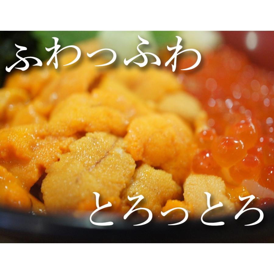 うに 100g 雲丹 冷凍生うに 無添加 ミョウバン不使用 AAグレード ウニ 安心・安全 丼2杯分 寿司 北海丼 在宅 母の日 父の日 敬老 在宅 中元 お歳暮 ギフト