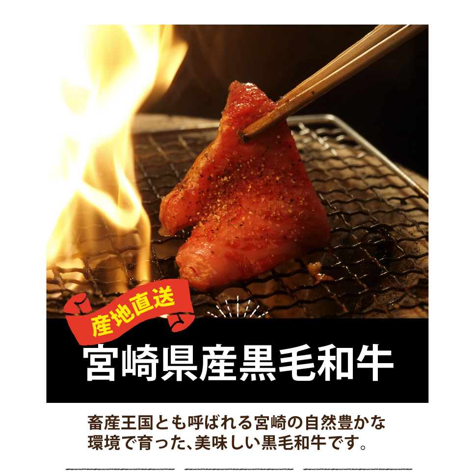 宮崎県産黒毛和牛赤身焼肉500g