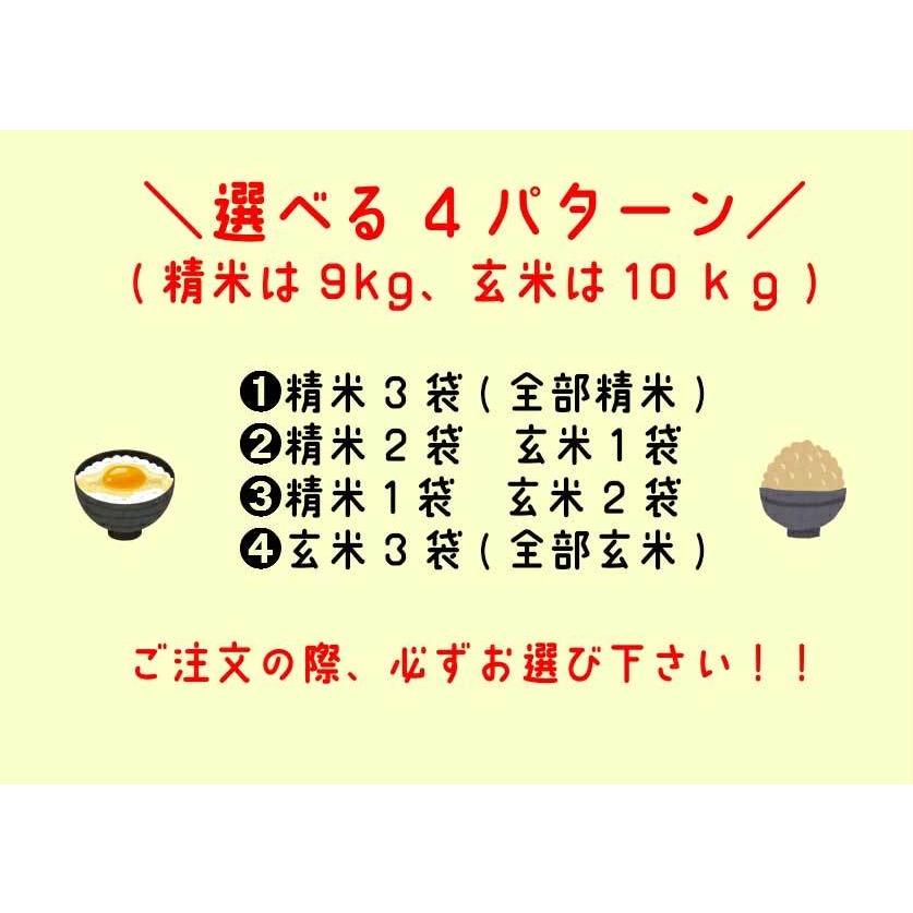 送料無料　令和5年産 新米 千葉県産ふさこがね 玄米30kg (10kg×3袋) 精米無料