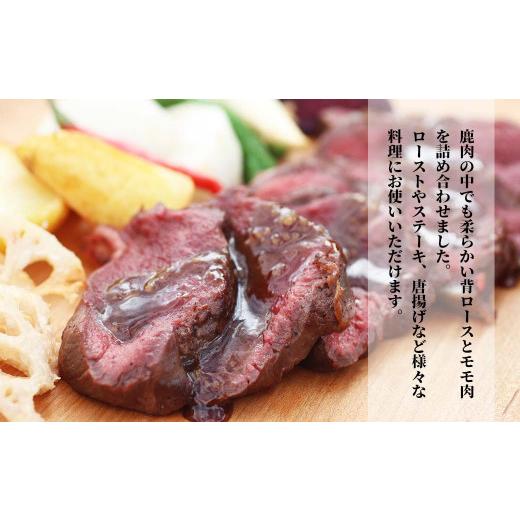 ふるさと納税 岡山県 西粟倉村 森のジビエ  鹿肉 ブロック おまかせ詰合せ700g以上 A-JJ-A15A