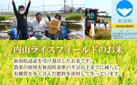 令和5年産 新潟県認証特別栽培米 ミルキークイーン 10kg