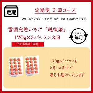 ふるさと納税 いちごの定期配送　雪国完熟いちご越後姫170g×2全3回 新潟県上越市