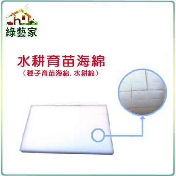 【綠藝家】水耕育苗海綿.泡綿(1片內切96塊)水耕海棉.泡棉.種子育苗水耕綿