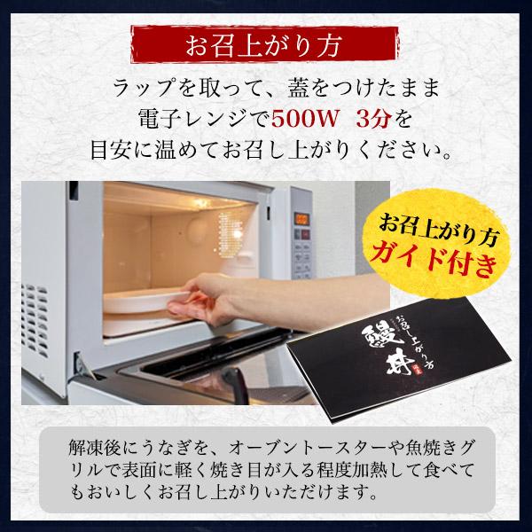 鹿児島県産 鰻 うな丼 2食セット  (250g×2パック) タレ付き レンチン お惣菜 国産 うな重 丼ぶり 丼もの 日本産 お取り寄せ グルメ 熨斗対応可 冷凍便配送