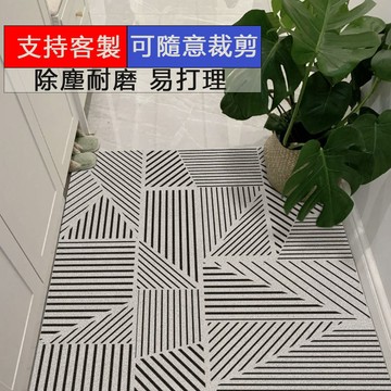 【安心居家】絲圈ins風入戶門墊 玄關地毯 沙發地墊 客廳茶几墊 卧室 家用地墊 地毯 地墊 可任意裁剪DIY