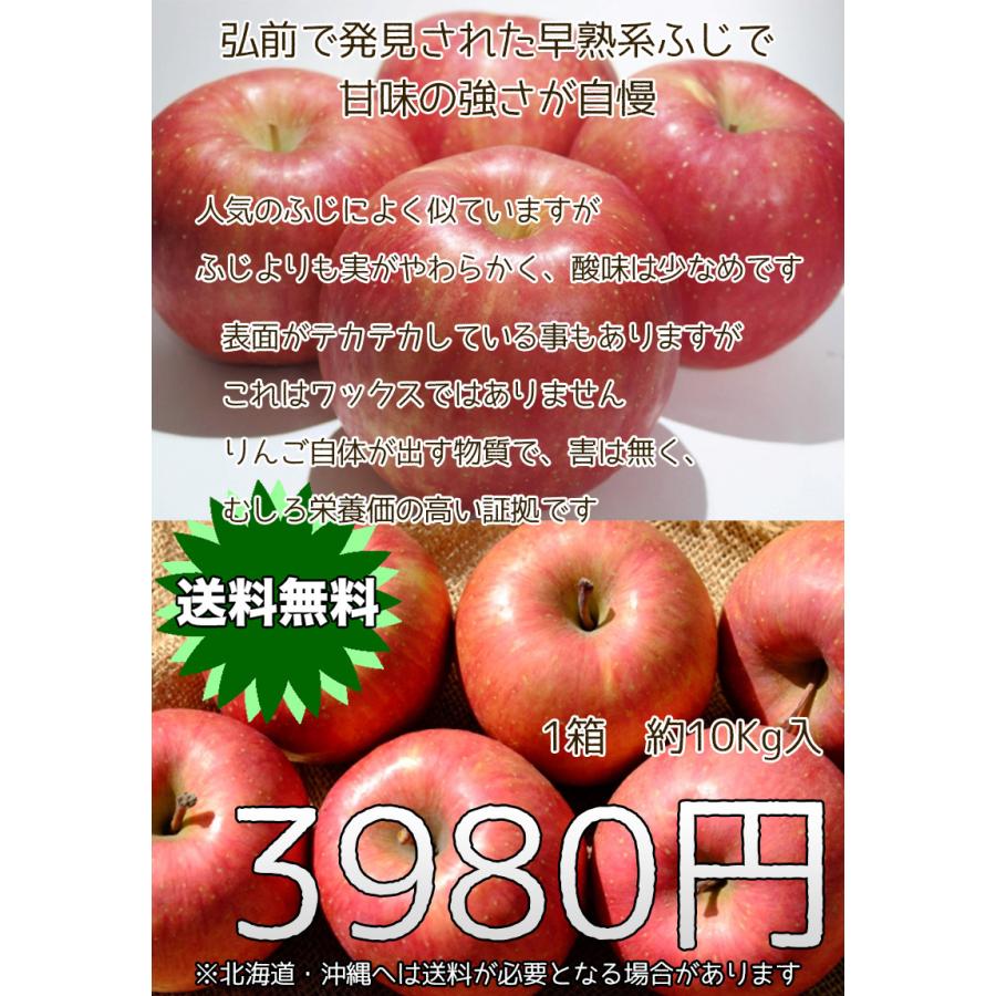 りんご 10Kg 訳あり 青森県産 弘前 ふじ 10kg サイズいろいろ 送料無料 SDGS