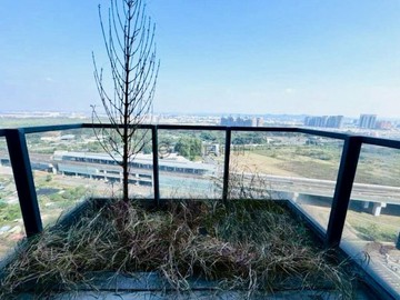 橋頭新市鎮捷運站✨高雄厝雙陽台✨兩房平移車位｜高雄市橋頭區經武路