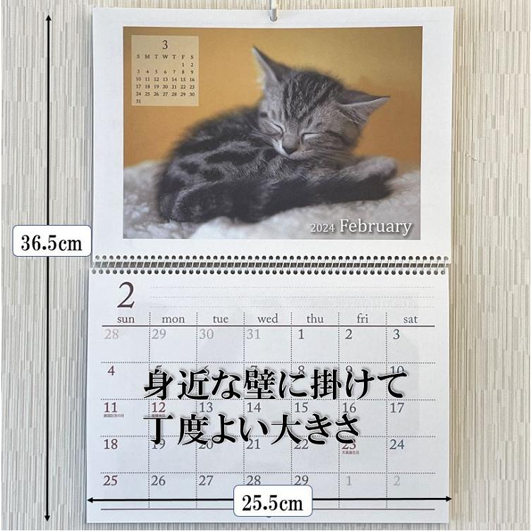 壁掛けカレンダー カレンダー 2024年 可愛い 猫 の カレンダー B4