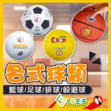 【現貨 免運費🔥多款球類】7號籃球 5號排球 足球 躲避球 籃球 排球 附球針球網 兒童球 學生用球 室內 體育 成功