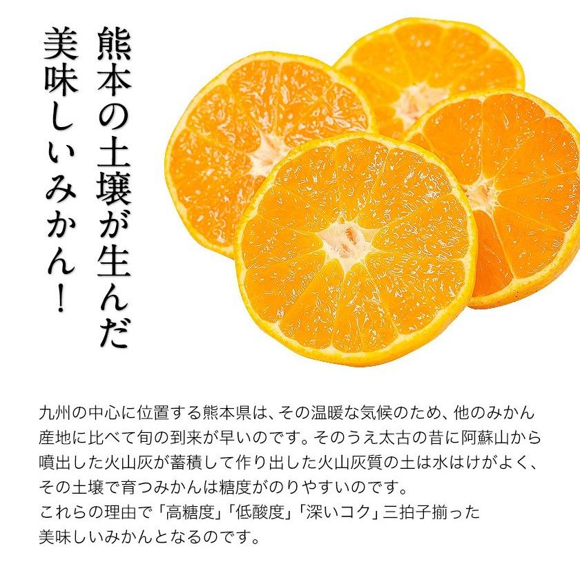 熊本県産 みかん 厳選 ドライみかん 100g ドライフルーツ 送料無料 国産 ポイント消化  7-14営業日以内に出荷予定(土日祝日除く)