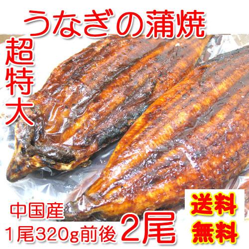 超特大 うなぎの蒲焼 　２尾セット（２尾で６４０ｇ） 中国産 ご家庭用