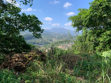 ☆竹子☆ 精選→萬里農牧黃金地｜新北市萬里區下萬里加投段員潭子小段