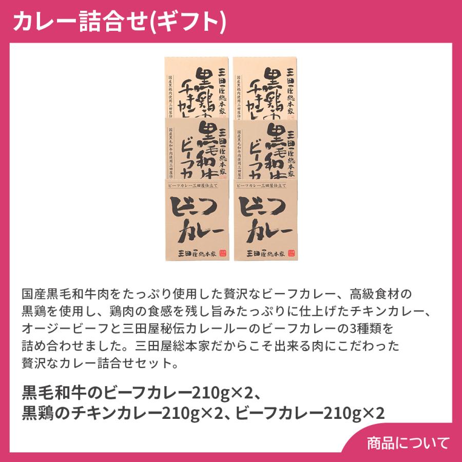 三田屋総本家 カレー詰合せ(ギフト) プレゼント ギフト 内祝 御祝 贈答用 送料無料 お歳暮 御歳暮 お中元 御中元