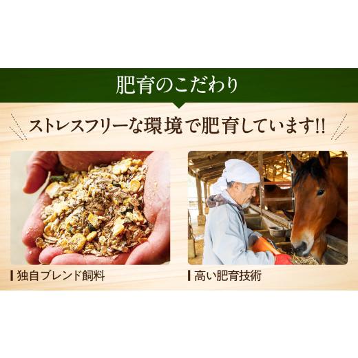 ふるさと納税 熊本県 八代市 熊本馬刺し 高級霜降り贅沢3種食べ比べ