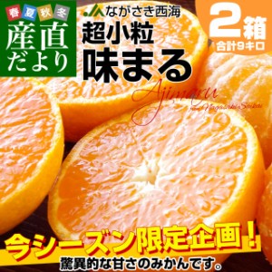 長崎県 JAながさき西海「味まる」2Sから3Sサイズ 超小粒4.5キロ×2箱（合計9キロ 150玉前後）送料無料　みかん ミカン 蜜柑 高糖度みかん