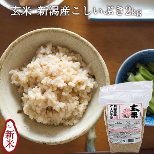 新潟産こしいぶき 玄米 2kg ｜ お米 雑穀 パック入 国産 ブランド米 ギフト 内祝い お返し お祝い 贈答品 贈り物 プ