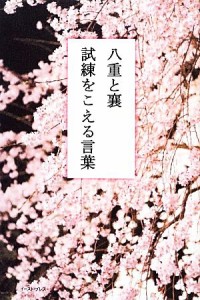  八重と襄　試練をこえる言葉／坂本優二