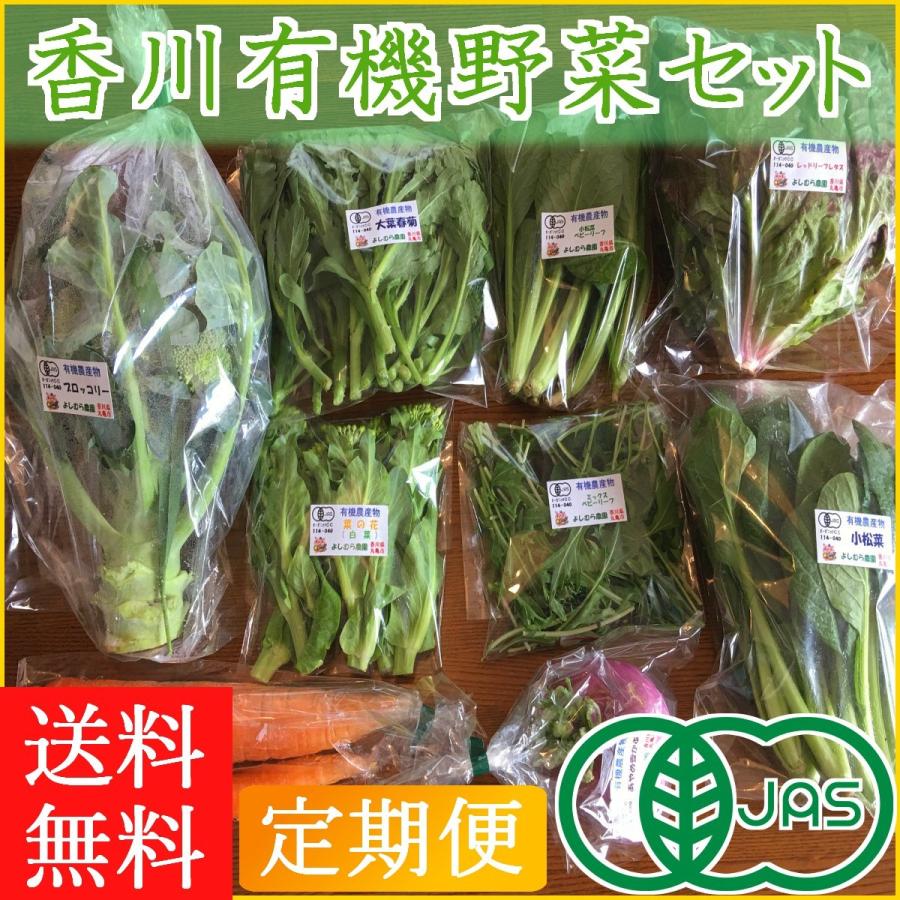 3回分 香川産 有機野菜セット ライトコース 7~8品 旬の野菜詰め合せ オーガニック JAS 誕生日 ギフト プレゼント 