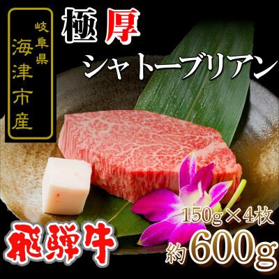 ふるさと納税 海津市 岐阜県海津市産 シャトーブリアン(150g×4枚)