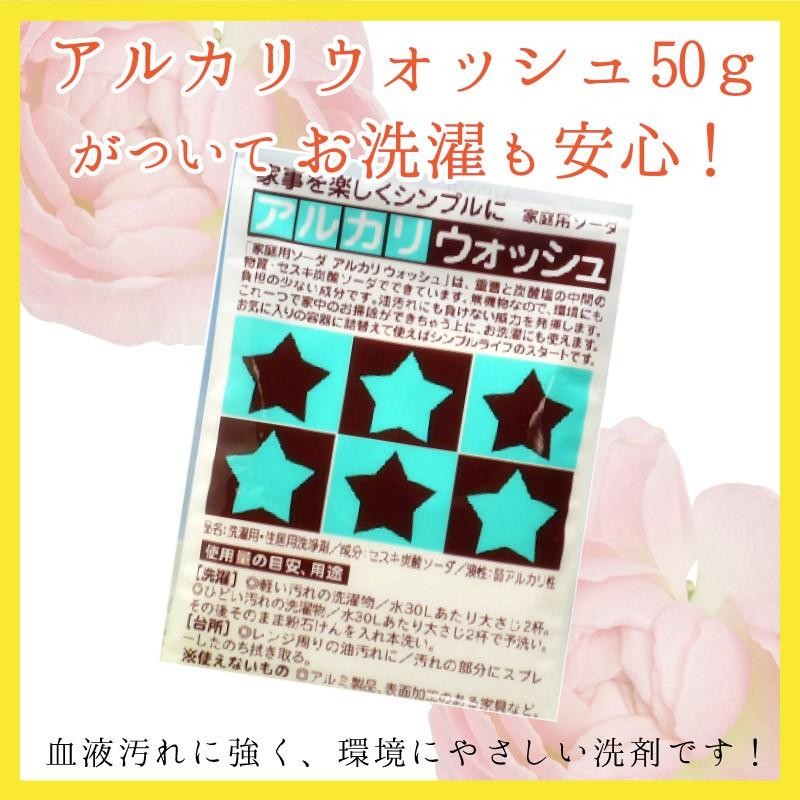 お試し 布ナプキン 2枚セット 日本製 | ポイント消化 一体型 メール便