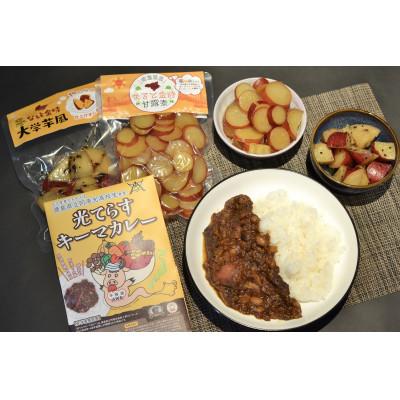 ふるさと納税 阿南市 徳島県産　地元素材ゴロゴロキーマカレーなると金時アソート　プレミアム