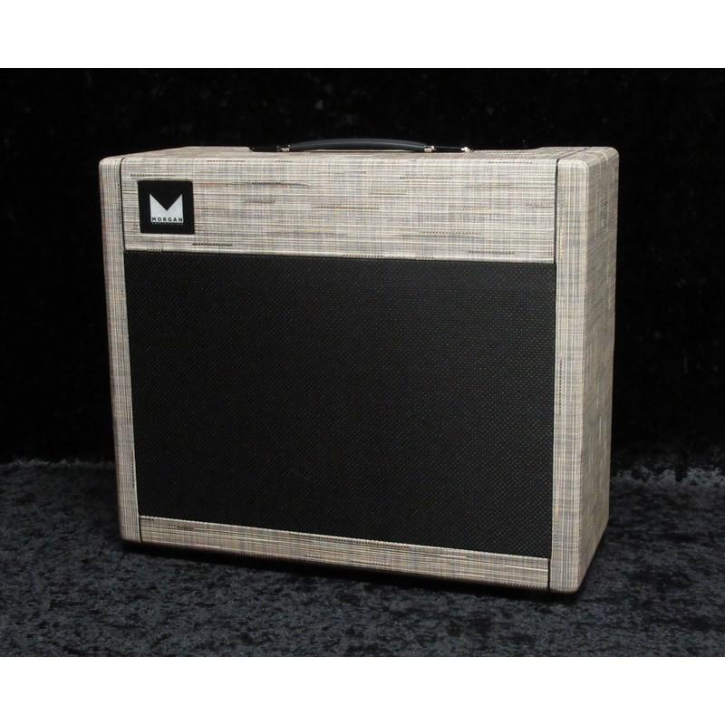 Morgan Amplification DUAL 20 Combo Driftwood