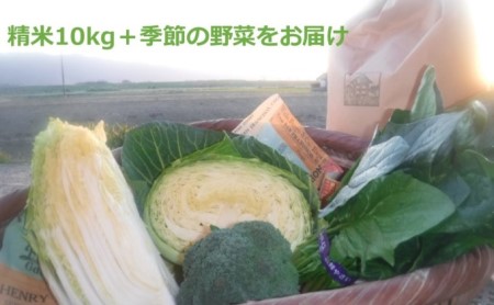 米 10kg 季節野菜 セット 精米 ゆめつくし