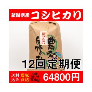 お米 10kg 白米 送料無料 新潟県糸魚川産 コシヒカリ 新米 精米7分 令和5年度産 12回定期便