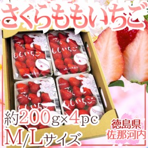 徳島県佐那河内村 ”さくらももいちご” M Lサイズ 約200g×4pc 送料無料