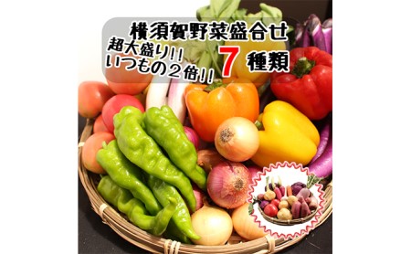 野菜セット 横須賀産 厳選 野菜 大盛り 7種 詰め合わせ