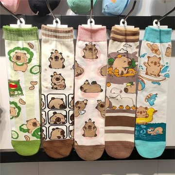 可愛水豚卡通襪子女 精梳棉動漫卡通中筒女襪 秋冬新款男女潮襪