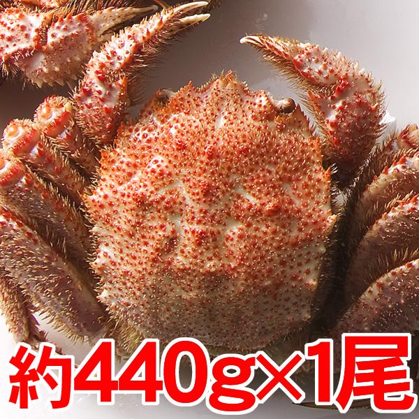 北海道産 毛がに大1尾 約440g オープン記念 食品