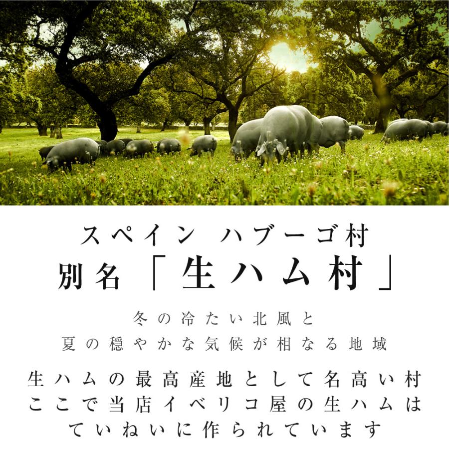 おしゃれ ギフト 2023 おつまみ 高級 イベリコ豚 生ハム 4年＆30ヶ月熟成 お取り寄せ 70代 60代 人気 ハム 冷蔵 ギフト