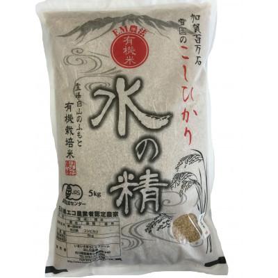 ふるさと納税 能美市 有機米こしひかり「水の精」玄米5kg