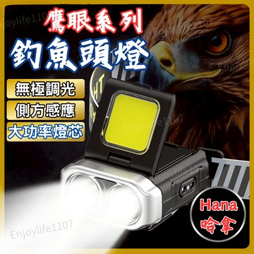 【鷹眼系列】頭燈 工作燈 釣魚頭燈 哈拿鷹眼頭燈 led頭燈 夾帽燈 工作頭燈 帽夾燈 頭戴式頭燈 釣魚帽燈 登山頭燈