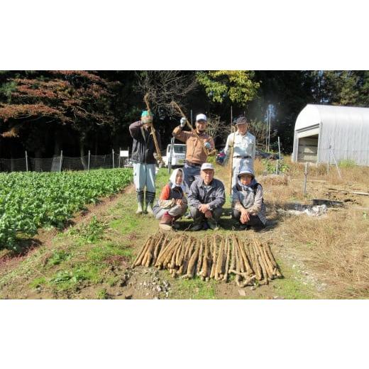 ふるさと納税 新潟県 柏崎市 小清水の自然薯（じねんじょ） 切り芋 800g[B460]